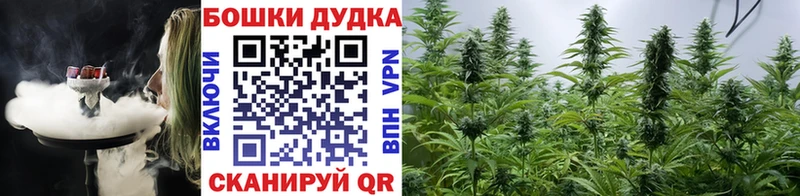 Канабис планчик  KRAKEN вход  Городище 
